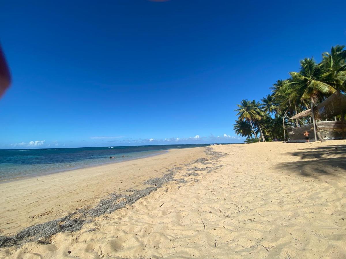 Las Terrenas Beachfront 2 Bedrooms Condo With Pool Exteriér fotografie